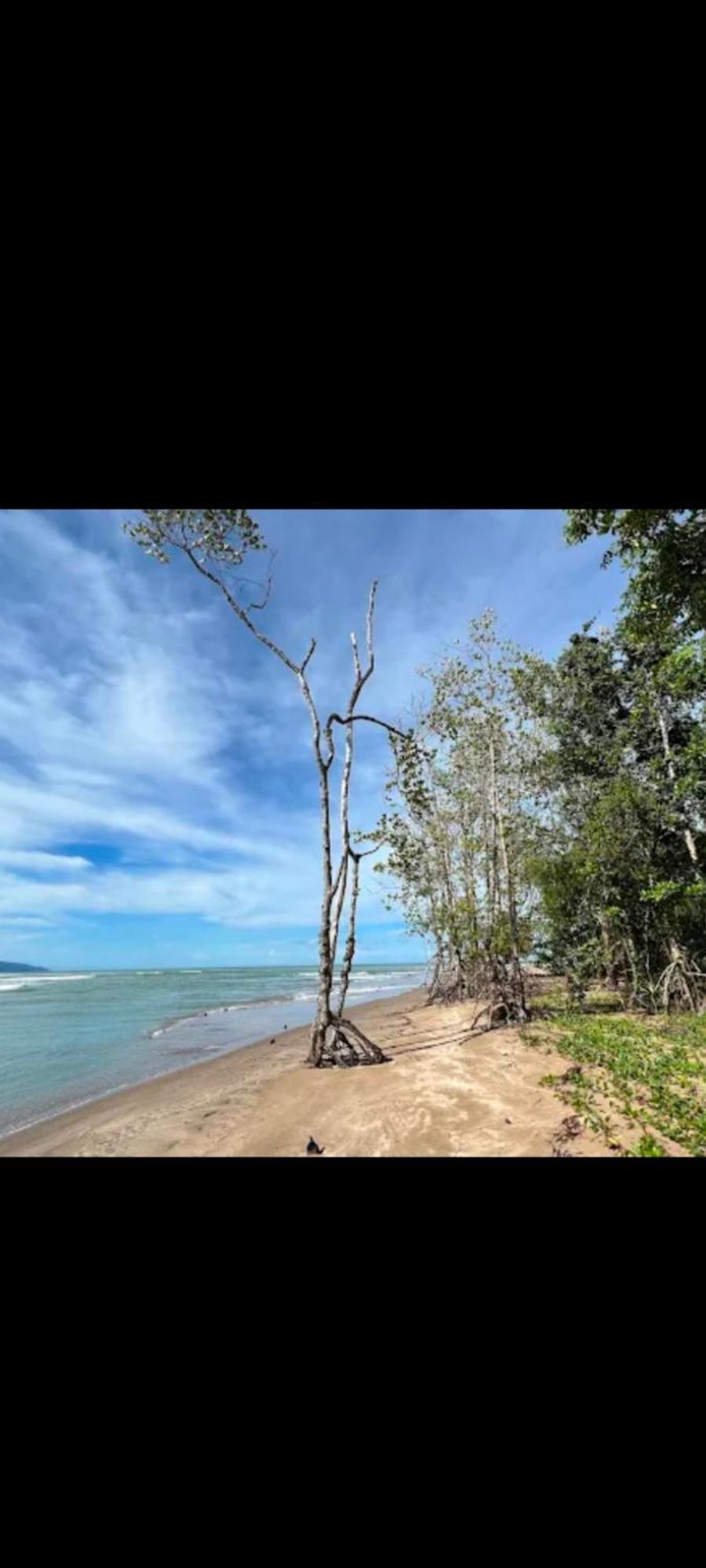 The Mangrove Villa Sematan Exterior photo